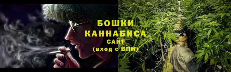 Каннабис White Widow  блэк спрут ССЫЛКА  Кохма 